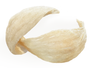 Archivo:Edible-birds-nest-bowl-shape
