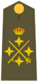 Ejerespadivi25