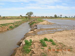 Archivo:ElGRAN CORCOLESLlanura inunda(Casa del rio)(3)