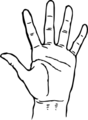Hand3