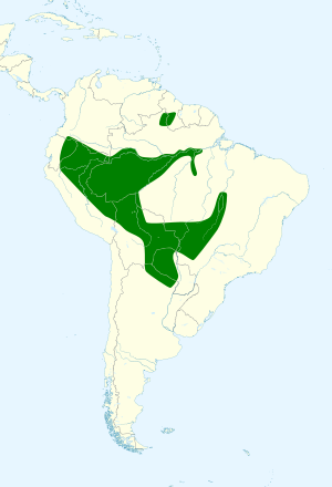 Archivo:Icterus croconotus map