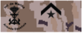 Infmar9
