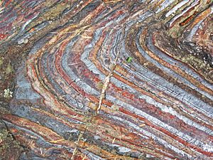 Archivo:Jaspilite banded iron formation (Soudan Iron-Formation, Neoarchean, ~2.69 Ga; Stuntz Bay Road outcrop, Soudan Underground State Park, Soudan, Minnesota, USA) 20 (19219005412)