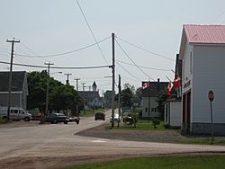 Joggins, Nova Scotia as viewed from Main Street - 08760.JPG