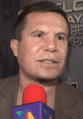 Julio César Chávez 2017