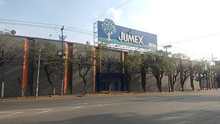 Jumex (2025) 2.jpg