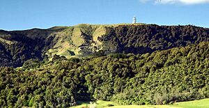 Archivo:KaimaiPICT6700