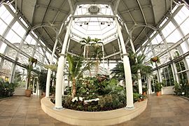 Lewis Ginter Botanical Garden Conservatory Interior (12057532774)