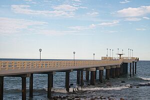 Archivo:MIRAMAR Muelle de Pescadores (2012)