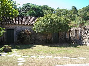 Archivo:Mai patio