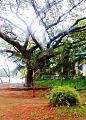 Majankkal Boat Jetty, Kannur-Mahe
