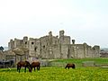 MiddlehamCJW