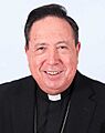Mons. del Rio (30279527124)