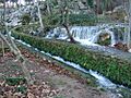 Nacimiento de Cuevas del Becerro