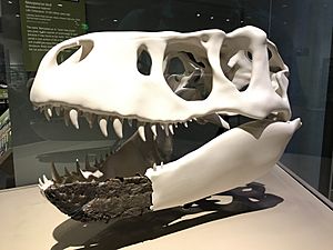 Archivo:Nanuqsaurus at Perot Museum
