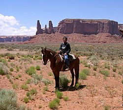 Navajo (young boy) 2007.jpg