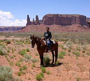 Archivo:Navajo (young boy) 2007