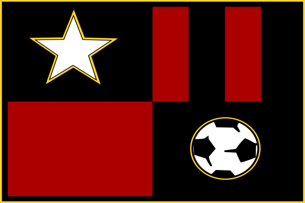 New York MetroStars