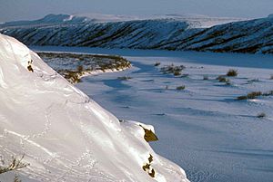 Archivo:Noatak river covered with snow at winter