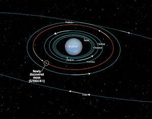 Archivo:Orbits of inner moons of Neptune including S 2004 N 1