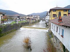 Orozko (barrio de Zubiaur) - Río Altube 02.jpg