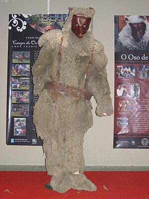 Archivo:Oso de Salcedo