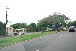 PR-2, Quebradillas.jpg