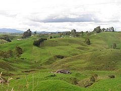 Paisaje ganadero, Santa Rosa de Osos, Antioquia