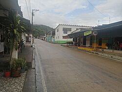 Pajarito 2024.jpg