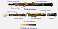 Partes del Oboe2