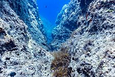 Pasaje, Coral Cave, Gozo, Malta, 2021-08-22, DD 24