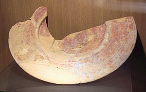 Archivo:Phenician plate with red slip 7th century BCE excavated in Mogador island