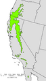Pinus lambertiana USGS range map 2
