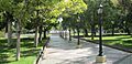 Plaza Pedro del Castillo. Uno de los icónicos sitios que se ubica dentro del Área Fundacional de Mendoza