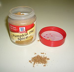 Archivo:Pumpkin Pie Spice