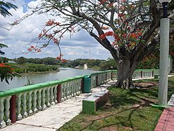 Archivo:Rio Usumacinta a su paso por la ciudad