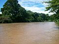 Rio cesar