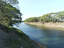 Rio tempisque.JPG