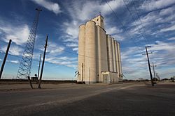 Roscoe Texas grain elevator 2011.jpg