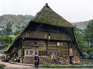 Archivo:Schwarzwaelder Bauernhaus um 1900