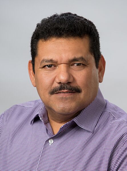 Senador Javier May Rodríguez
