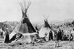 Shoshoni tipis.jpg