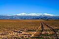 Sierra Nevada (Spain)
