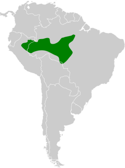 Distribución geográfica del batará saturnino.