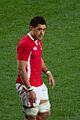 Toby Faletau 2011