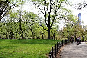 Archivo:USA-NYC-Central Park-The Mall1