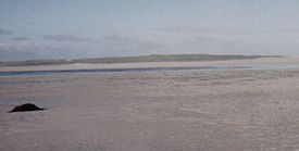 Vallay Island from shore at low tide.jpg
