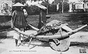 Archivo:Vietnam Wheelbarrow