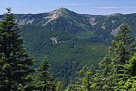 View of Mark O Hatfield Wilderness-Mt Hood (23808238142).jpg