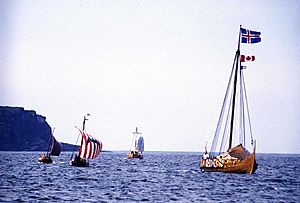 Archivo:Viking landing